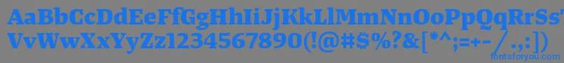 フォントTangerserifwideExtrabold – 灰色の背景に青い文字