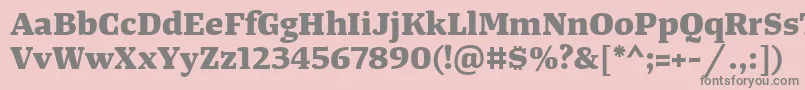 TangerserifwideExtrabold Font – Gray Fonts on Pink Background