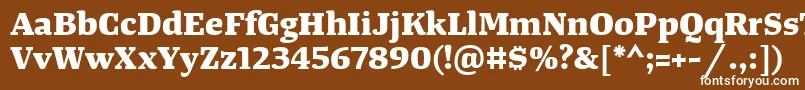 フォントTangerserifwideExtrabold – 茶色の背景に白い文字