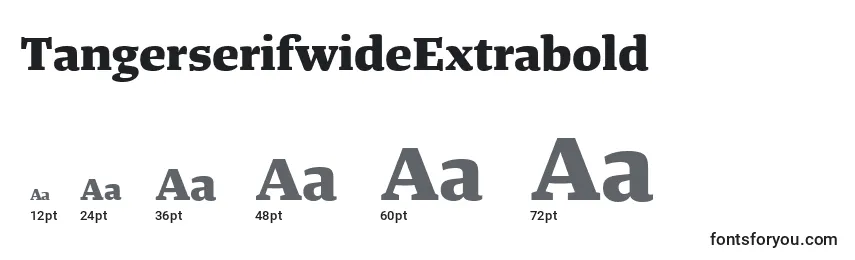 TangerserifwideExtrabold Font Sizes