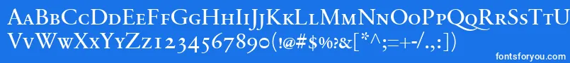 SabonnextLtRegularSmallCaps Font – White Fonts on Blue Background