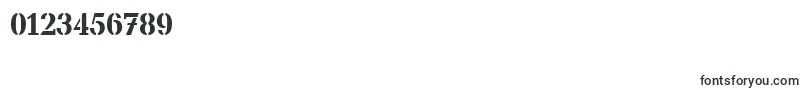 CanyonStencilMediumRegular-Schriftart – Schriften für Zahlen und Nummern