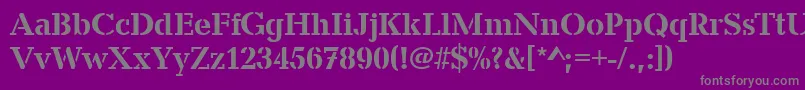 CanyonStencilMediumRegular-Schriftart – Graue Schriften auf violettem Hintergrund