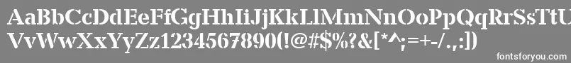 CanyonStencilMediumRegular Font – White Fonts on Gray Background