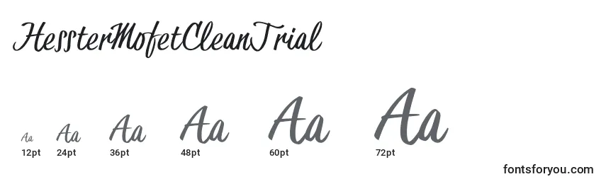 HessterMofetCleanTrial Font Sizes