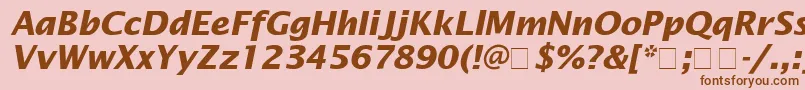 LucidaSansBolditalic Font – Brown Fonts on Pink Background