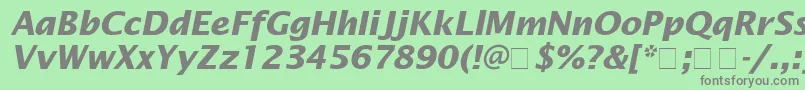 フォントLucidaSansBolditalic – 緑の背景に灰色の文字