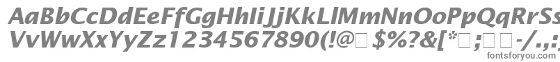 LucidaSansBolditalic-Schriftart – Graue Schriften auf weißem Hintergrund