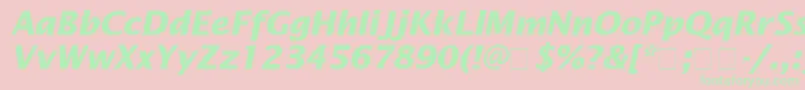 LucidaSansBolditalic Font – Green Fonts on Pink Background