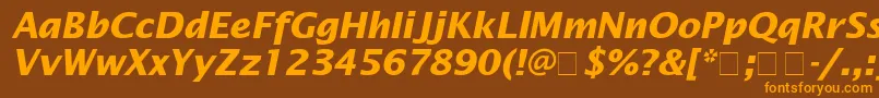 LucidaSansBolditalic Font – Orange Fonts on Brown Background