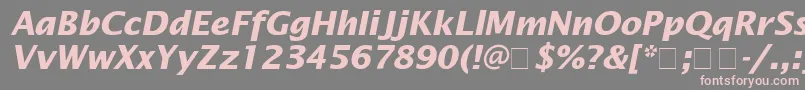 LucidaSansBolditalic-Schriftart – Rosa Schriften auf grauem Hintergrund