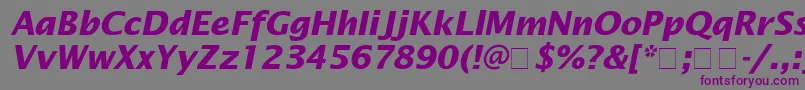 LucidaSansBolditalic Font – Purple Fonts on Gray Background