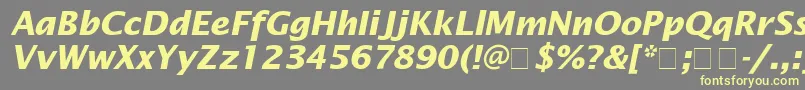 LucidaSansBolditalic-Schriftart – Gelbe Schriften auf grauem Hintergrund