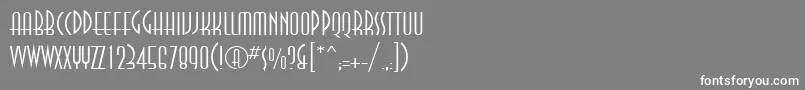 フォントAnn35C – 灰色の背景に白い文字