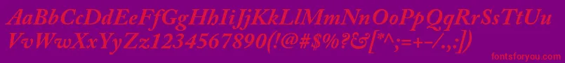 AcaslonproBolditalic Font – Red Fonts on Purple Background