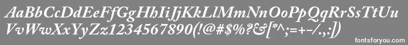 フォントAcaslonproBolditalic – 灰色の背景に白い文字