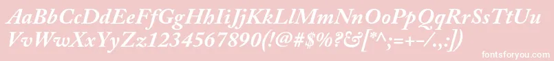 AcaslonproBolditalic Font – White Fonts on Pink Background