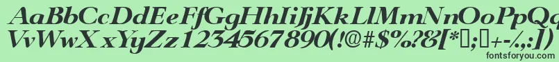 TeronodisplaysskItalic Font – Black Fonts on Green Background