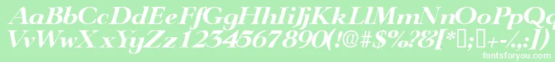 TeronodisplaysskItalic Font – White Fonts on Green Background