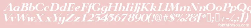 TeronodisplaysskItalic Font – White Fonts on Pink Background