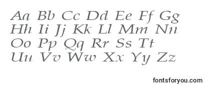 PalisadebroadItalic Font