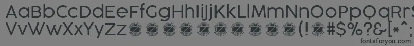Шрифт CocogooseProLightTrial – чёрные шрифты на сером фоне
