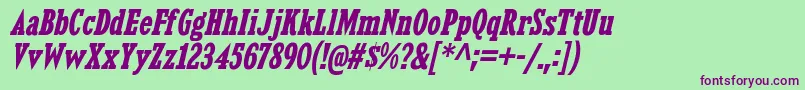 KingsbridgeCdBdIt Font – Purple Fonts on Green Background
