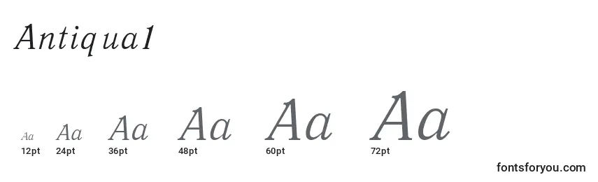 Размеры шрифта Antiqua1