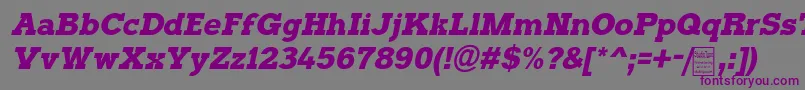TyposterItalicDemo-fontti – violetit fontit harmaalla taustalla