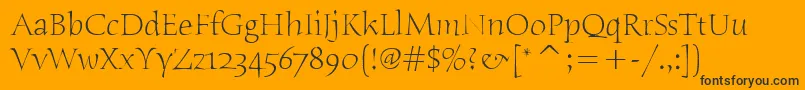 HumanaSerifItcLight Font – Black Fonts on Orange Background