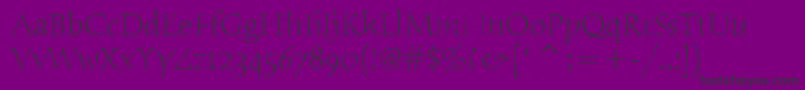 HumanaSerifItcLight Font – Black Fonts on Purple Background