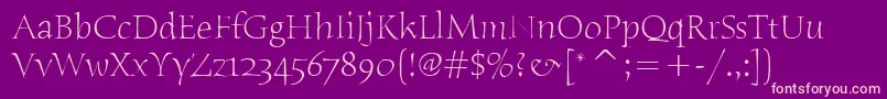 HumanaSerifItcLight Font – Pink Fonts on Purple Background