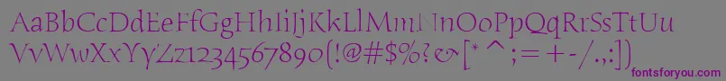 HumanaSerifItcLight Font – Purple Fonts on Gray Background