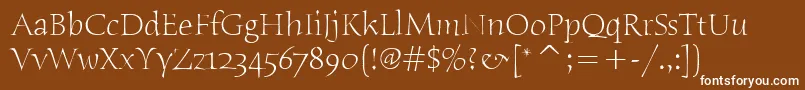 HumanaSerifItcLight Font – White Fonts on Brown Background