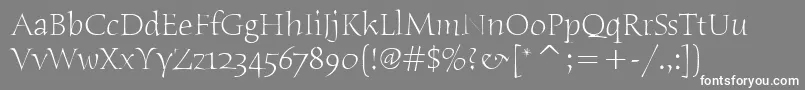 HumanaSerifItcLight Font – White Fonts on Gray Background