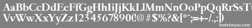 GaremondDemibold Font – White Fonts on Gray Background