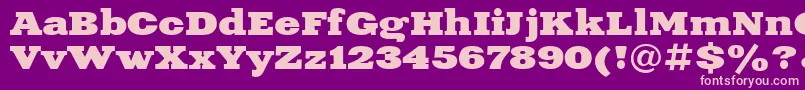UkrainianxeniaextendedBold Font – Pink Fonts on Purple Background