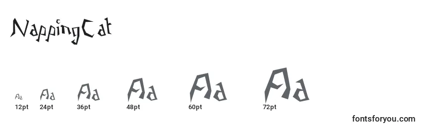 Размеры шрифта NappingCat