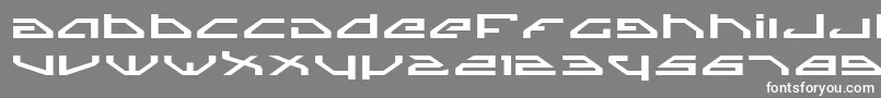 フォントSpylordExpanded – 灰色の背景に白い文字