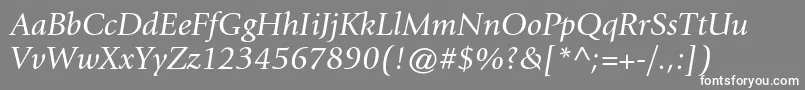 GiovannistdBookitalic Font – White Fonts on Gray Background
