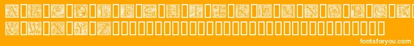 GoudyInitialen-fontti – valkoiset fontit oranssilla taustalla