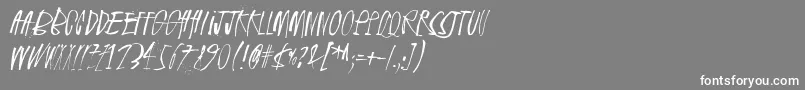 フォントRhinoceros2 – 灰色の背景に白い文字