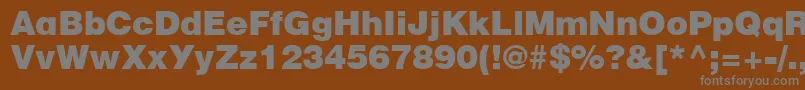 Ft52Normal-fontti – harmaat kirjasimet ruskealla taustalla