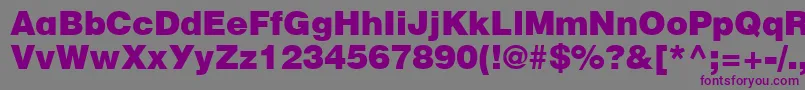 フォントFt52Normal – 紫色のフォント、灰色の背景