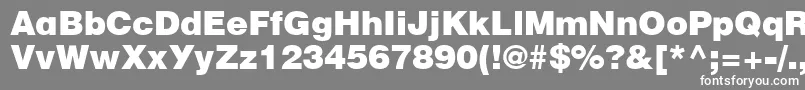 フォントFt52Normal – 灰色の背景に白い文字