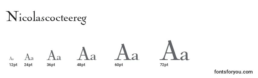 Размеры шрифта Nicolascocteereg