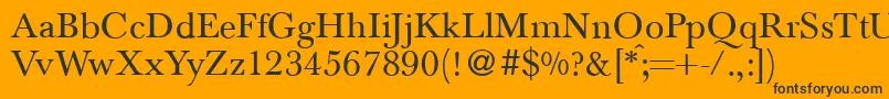 BaskervilletwoRegular Font – Black Fonts on Orange Background