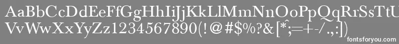 フォントBaskervilletwoRegular – 灰色の背景に白い文字