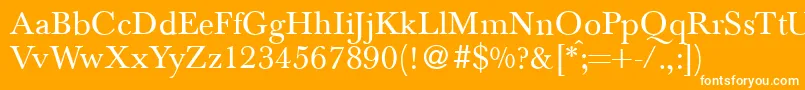 BaskervilletwoRegular Font – White Fonts on Orange Background