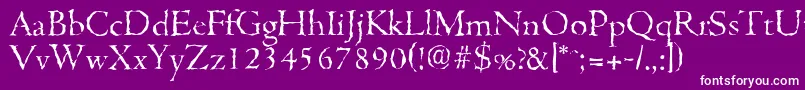 CambridgerandomLightRegular Font – White Fonts on Purple Background